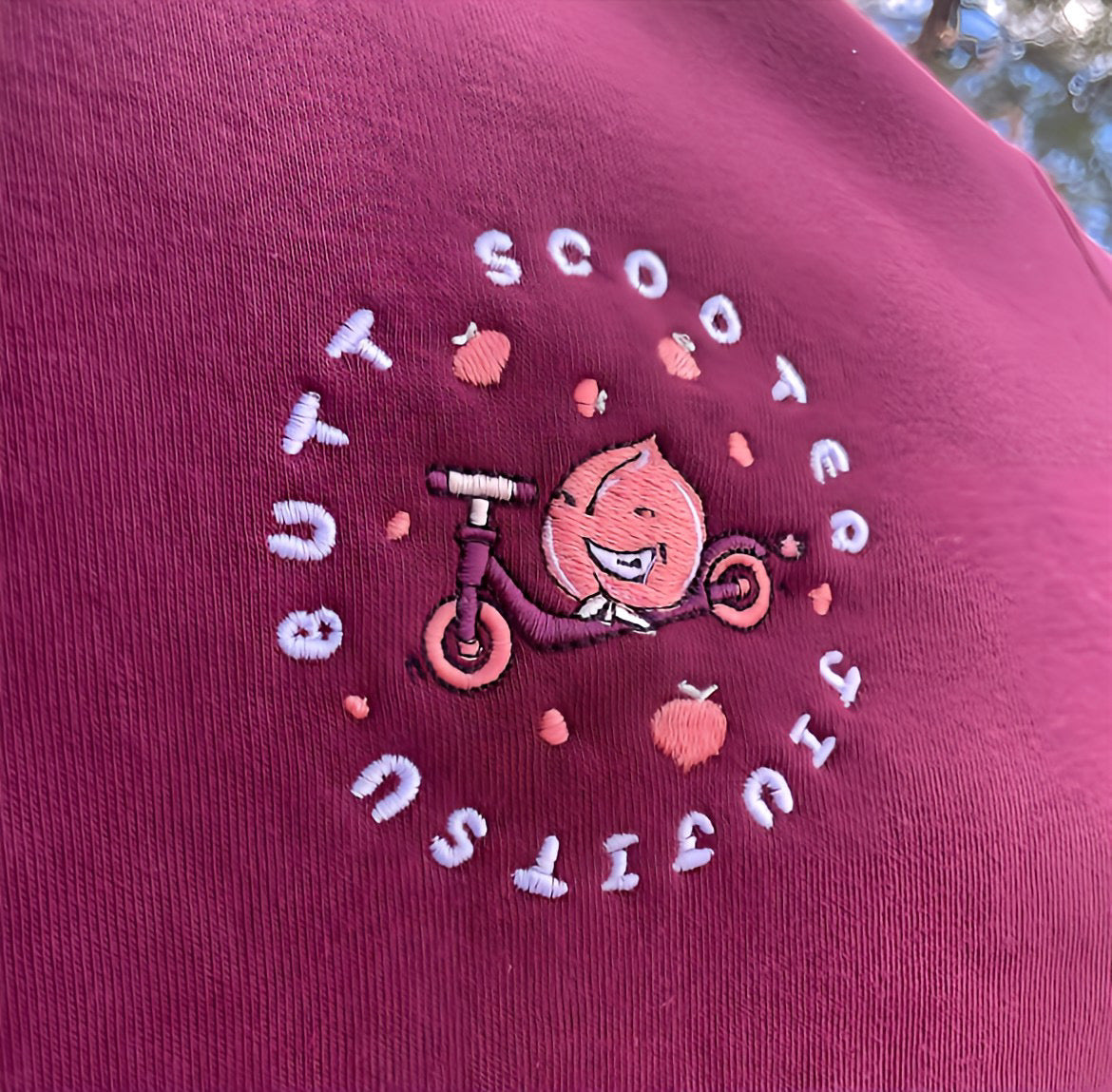 Embroidered Butt Scooter Hoodie